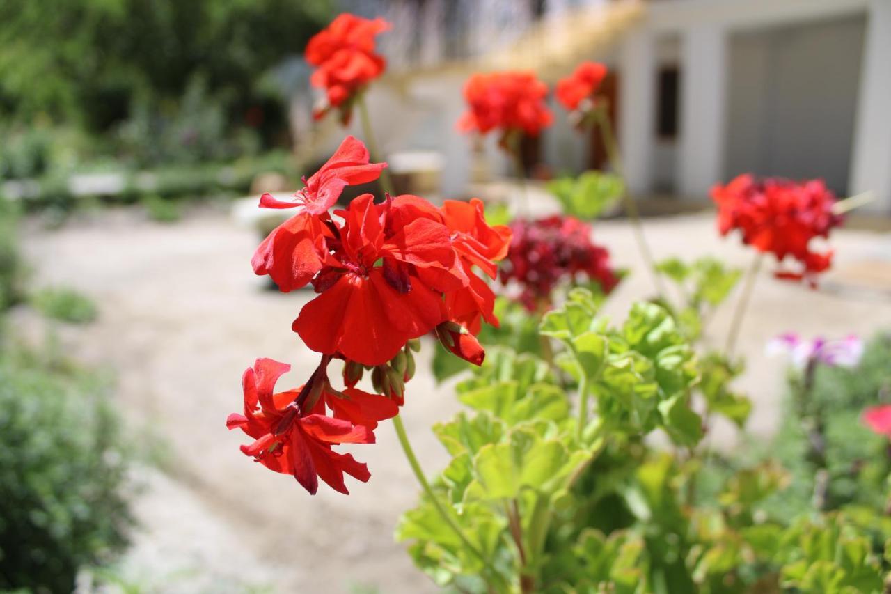 Sernang Homestay Hundar Ngoại thất bức ảnh